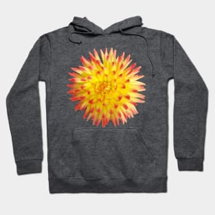 Yellow and Pink Dahlia Flower Hoodie